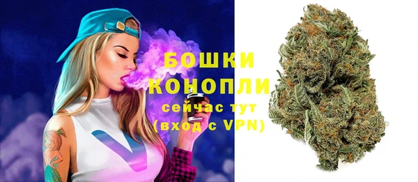 амф Богородицк
