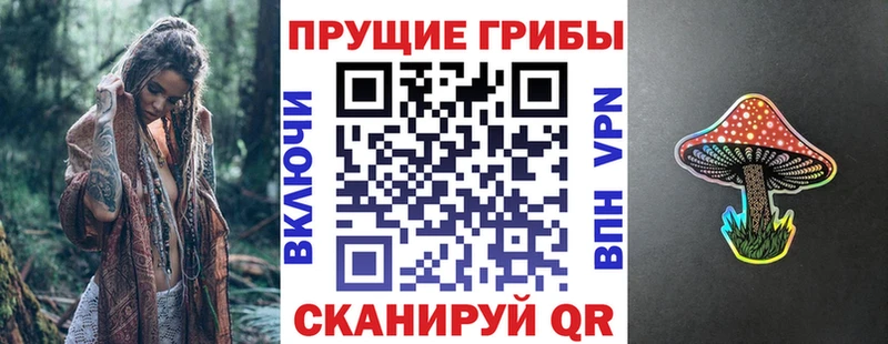 Псилоцибиновые грибы мицелий  Купить закладки  Вельск 